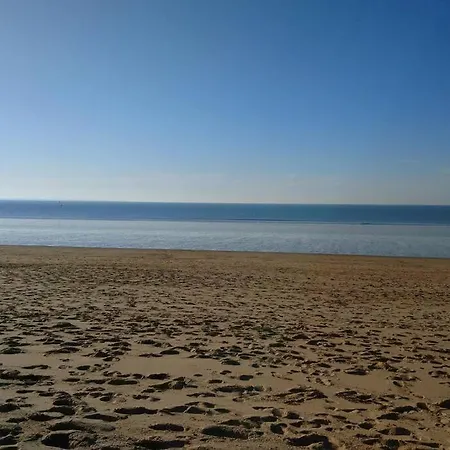 La Mer, A La Campagne En Normandie, Proche Du Mont St Michel