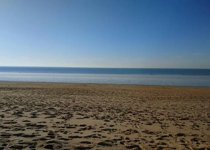 La Mer, A La Campagne En Normandie, Proche Du Mont St Michel